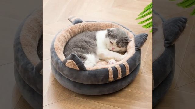 Hacer camas para gatos