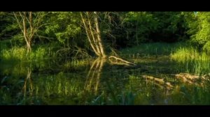 Что посеешь, то пожнешь. детская песенка на слова С.Бойправ.