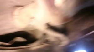 Чип тюнинг Kia Sportage 3 с физическим и программным удалением катализатора,г.Чехов.