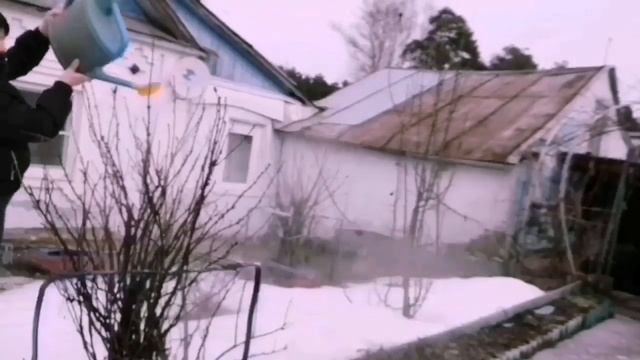 Как избавиться от тли и клещей на смородине смотреть онлайн