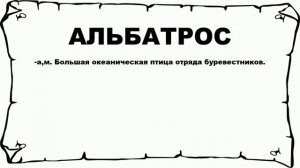 АЛЬБАТРОС - что это такое? значение и описание