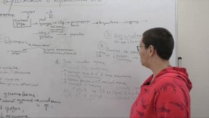 Как применять дрожжи в кормлении молочного скота и телят?