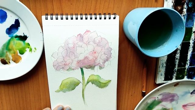 Нежная и воздушная гортензия акварелью ? смотреть онлайн