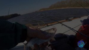 Фидерная рыбалка на течении  Как ловить на Фидер на большой реке  Фидер в Марте