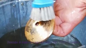Что бы да помыть? Устраняем жировые отложения