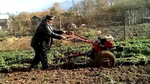 Запахиваем  горчицу.
