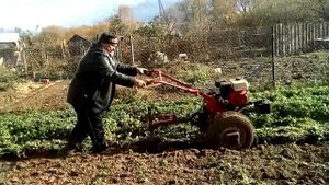 Запахиваем  горчицу.