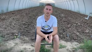 Урожайность клубники с 1 куста 2022 год