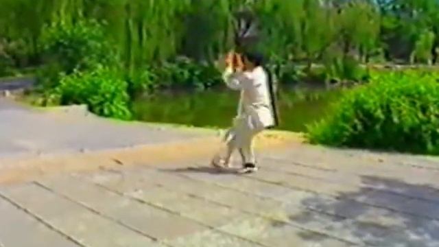 Чэн ши багуачжан, мастер Сунь Чжицзюнь (Bagua Zhang Cheng). смотреть онлайн