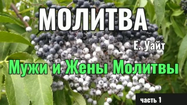 МОЛИТВА, глава 13, Мужи и Жены Молитвы. часть 1 смотреть онлайн