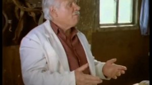 ПОЧЕМУ ЦЫГАНЕ ВОРУЮТ