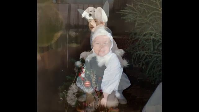 "Зайка", польская народная песня смотреть онлайн