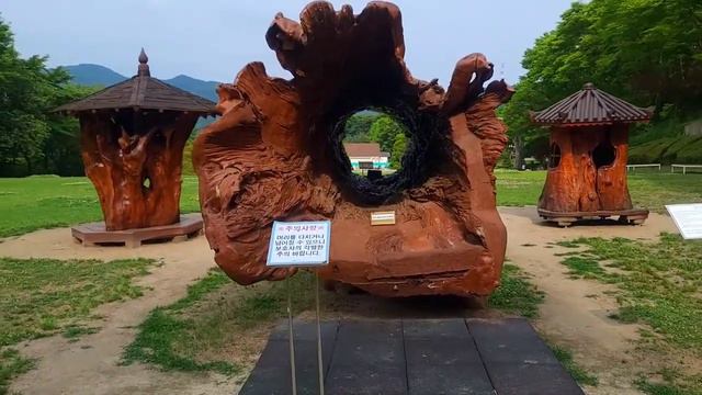 KOREA VLOG. Прогулка в парке медведей. Bear Park.