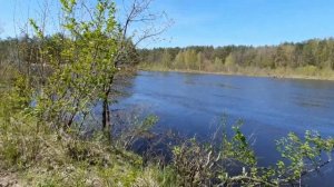 Весна в самом разгаре. Рыбалка на вершу, жерлицы, и донку.