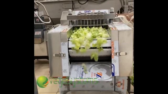 Нарезка кубиком салата  Vega Meat Dicer 500, овощерезка промышленная