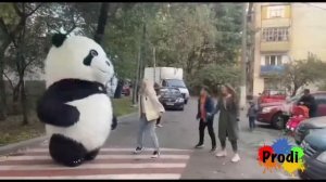 Надувной медведь | аниматор | праздник | белый медведь | день рождения | подарок | сюрприз