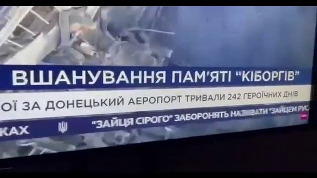 Бегущая строка на украинском телеканале: Верховная рада запретила называть серого зайца «русаком»