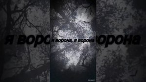 я ворона