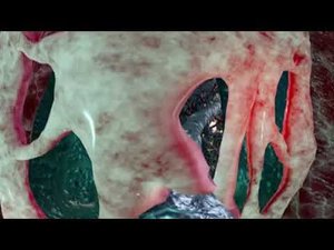 Прилив адреналина | Adrenaline Rush (2021)