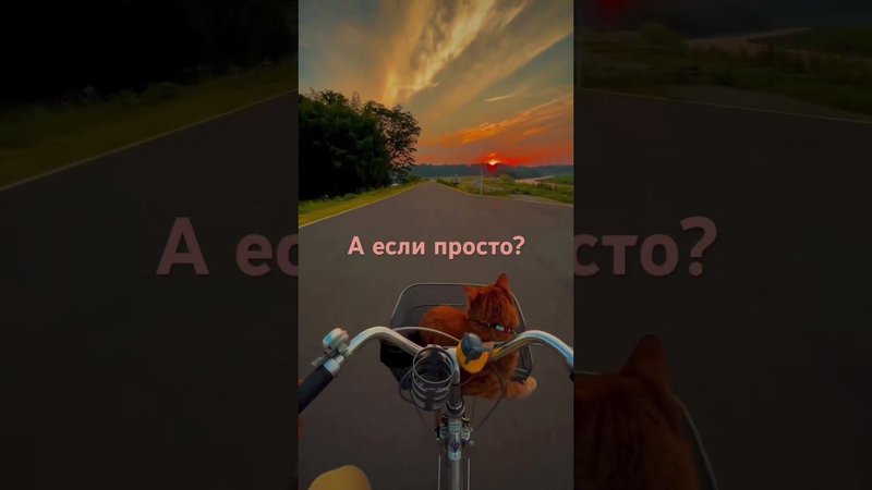 25 октября 2023 г.