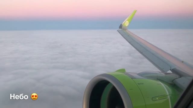 Обзор полёта бизнес-классом S7 Airlines, Airbus A320neo,  рейс Новосибирск-Дубай