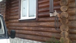 Собираю  томаты,погода дождливая.Варю уху из терпуга.Мои заготовки!