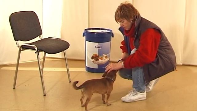 Дрессировка собак дома с нуля - как отучить собаку рычать? смотреть онлайн