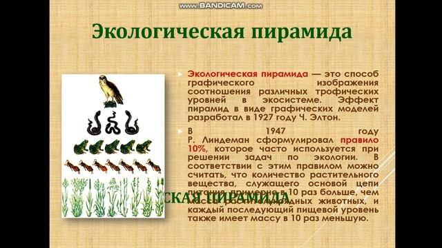 16 апреля 2022 г. смотреть онлайн