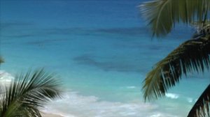 Сейшельские острова (Маэ, Праслин, Ладиг)