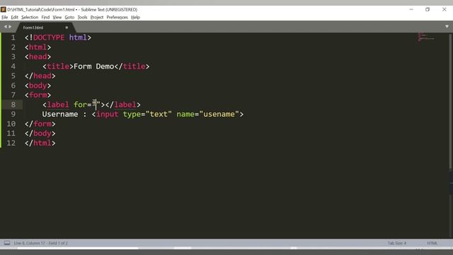 How To Create HTML Form | Input Type Text | Submit Button In HTML | Label Tag In HTML