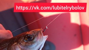 Изготовление рабочего комарика для ловли хариуса на Енисее