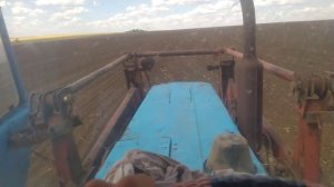 культивация 2024.