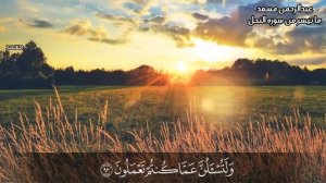 чтец корана Абдурахман Масад