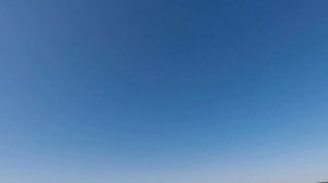 Охота на гуся весна 2018 в Республике Коми на болоте