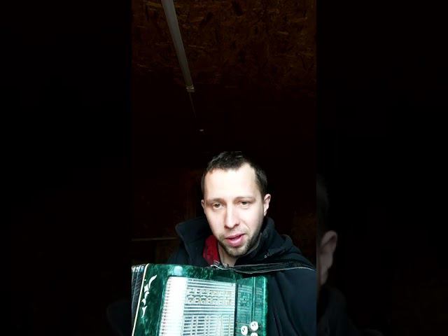 Аллегрова "С днем рождения" . Играет ученик . Уроки по скайпу смотреть онлайн