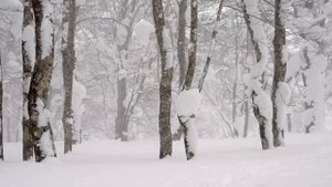 Я не хочу тебя винить ни в чем - Валентина