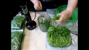 КАК ЗАМОРОЗИТЬ ЗЕЛЕНЬ ПЕТРУШКИ НА ЗИМУ? ЗАГОТОВКА ВИТАМИНОВ.