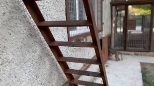 Мы забираем Степу и Маню домой, а Люся наотрез отказывается их ОТПУСКАТЬ)))