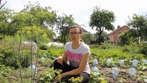 Как избавиться от пустоцвета на огурцах