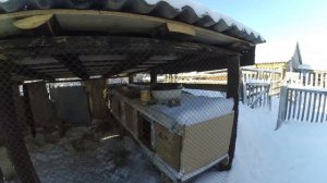 РАЗВЕДЕНИЕ КРОЛИКОВ ЗИМОЙ /ДЕРЕВЕНСКИЙ ВЛОГ