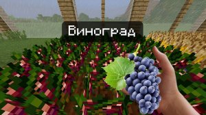 Посадил виноград на ферме!-Minecraft симулятор фермера