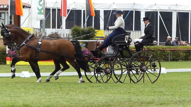 Sandmann, Anna, GER, FEI WCH PAIRS Drebkau, Dressage 13 09 2019 смотреть онлайн