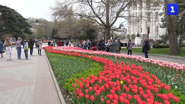 Где В Севастополе Можно Купить Цветы