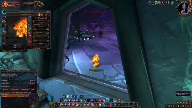 Shadowlands Pre Patch: The Current State of Speed Druid Farming (200%) смотреть онлайн