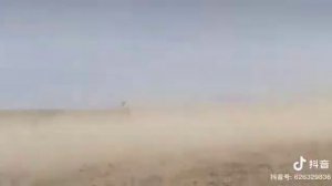 🇰🇿 🇰🇿 В Китае проводились скачки. Победила лошадь с Казахстана. Наездница девочка.Жарайсын Казагым✊