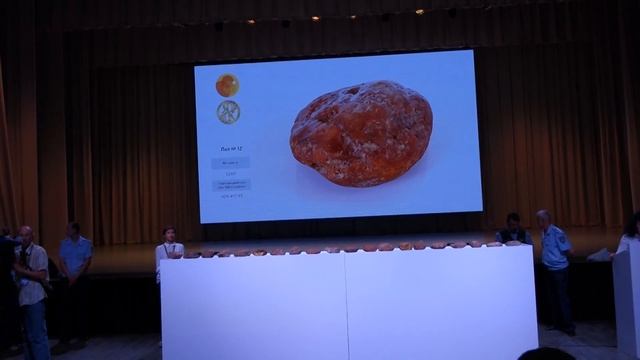 Аукцион по продаже самородков янтаря 08 июня 2018 - Светлогорск. Часть 4 смотреть онлайн