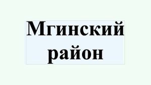 Мгинский район