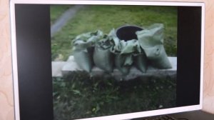 Что такое солод. Виды и типы солодов. Спецсолода.