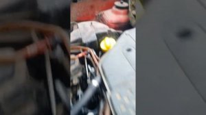 Рено кенго 1.9 дизель фильтр топлива