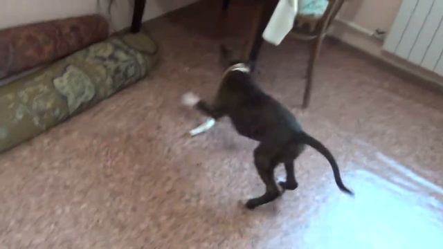 Еремей смотреть онлайн